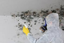 Best Real Estate Mold Inspection  in , AR